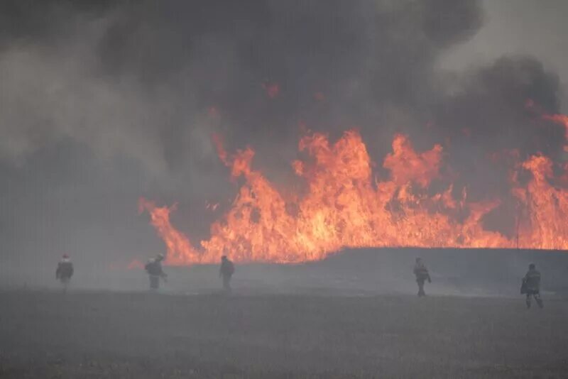 Лесной пожар Гринпис. Пожар в заповеднике Астрахань Гринпис. Пожар в Астраханском заповеднике. Тоже сгорела