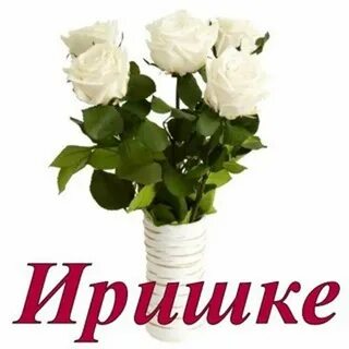 Цветы ирине в картинках