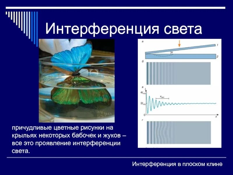 Проявление интерференции света. Применение интерференции света. Интерференция в технике. Интерференция презентация. Интерференция применяется.