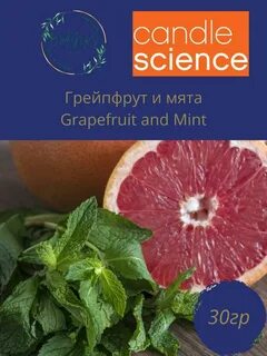 Описание грейпфрута