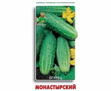 Огурцы сорт монастырский