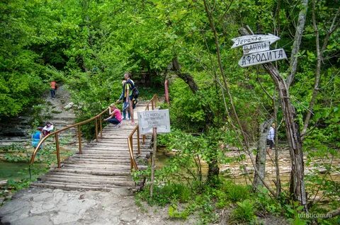 Село возрождение краснодарский край