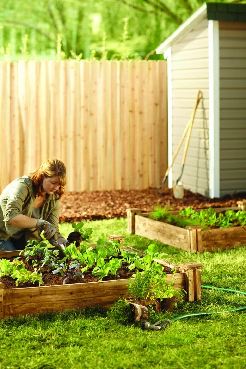 The home garden. Огород в деревне. инструменты для сада и огорода. фон огород. make a garden bed ионки.