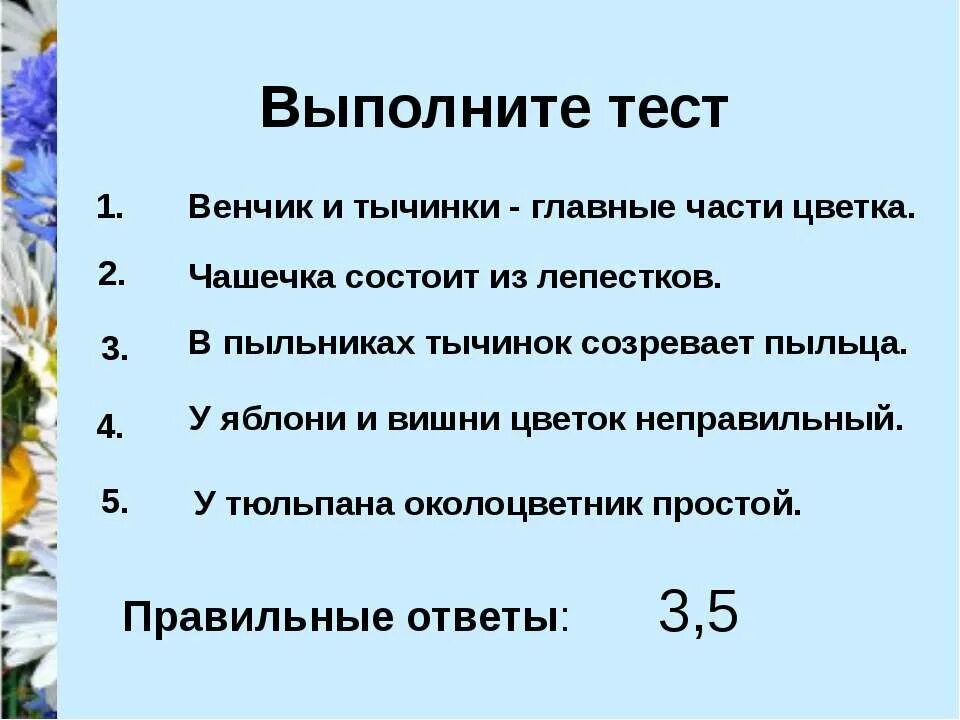 Тест цветок соцветие 6 класс биология. У вишни и яблони цветок неправильный. Тест соцветия. Соцветия 6 класс биология. Проверочная работа по теме соцветия.