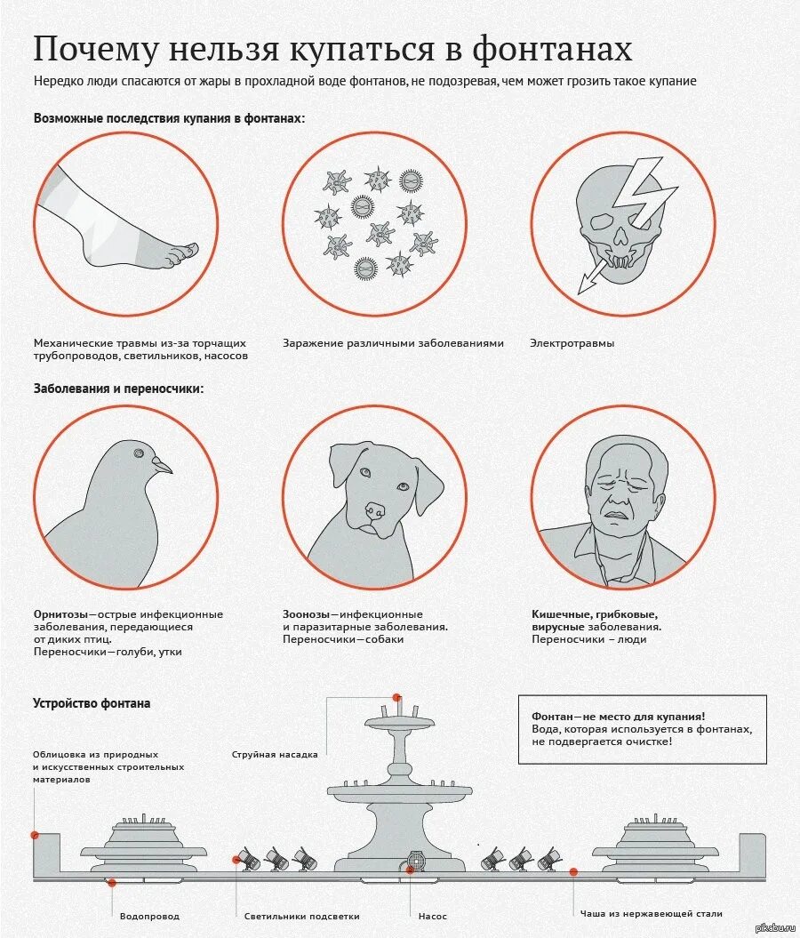 Почему нельзя купаться в фонтанах. Купаться в фонтане запрещено. Почему запрещено купаться в фонтане. Почему нельзя купаться.