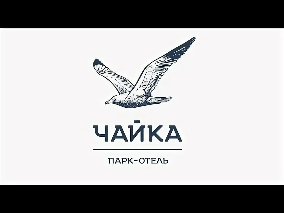 Чайка логотип. Парк отель чайка барнаул лого. парк отель чайка логотип. отель турции с логотипом чайки. полет чайки отель сочи лого.