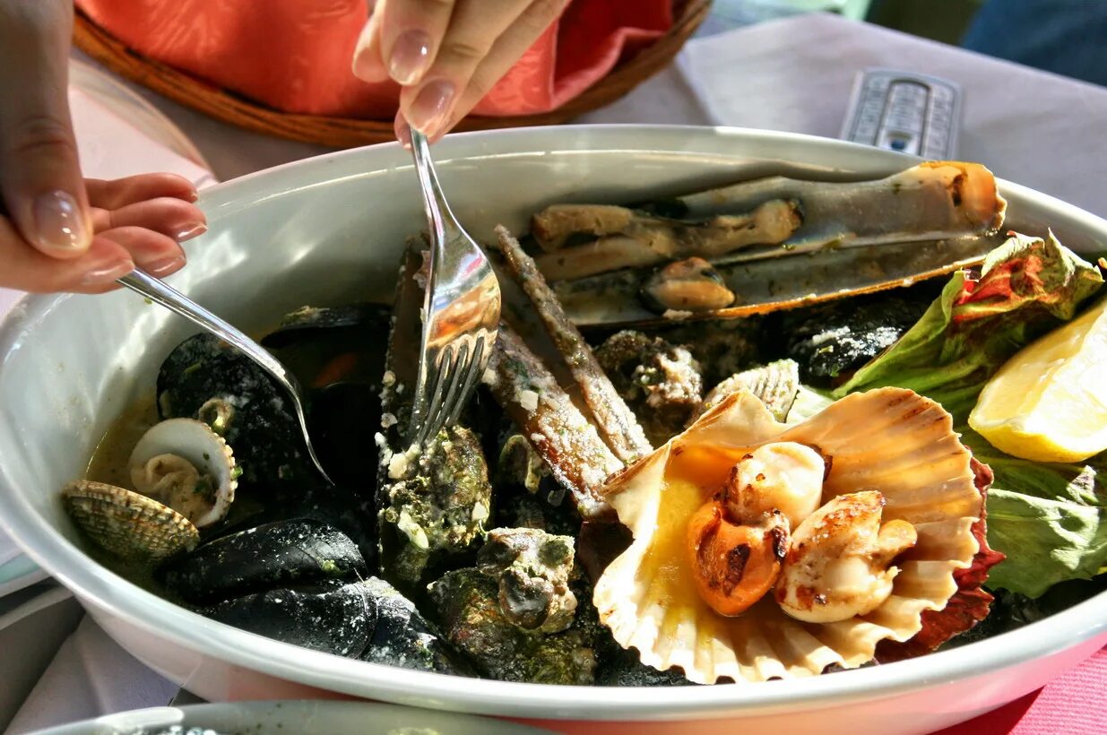 Шри ланка морепродукты. Белковое отравление симптомы. Дары моря. Отравление морепродуктами симптомы. Морепродукты шри ланки.