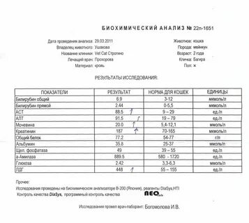 Анализ кала на лямблии игх