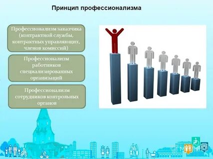 Принцип профессионализма заказчика в сфере закупок