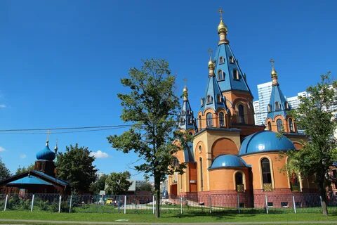 Курировать город