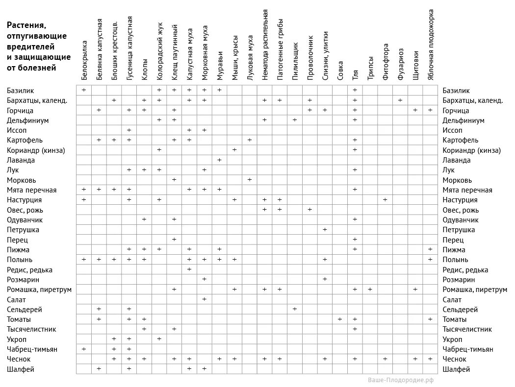 Совместимость препаратов для растений. Таблица совместимости фунгицидов и инсектицидов. Таблица смешивания гербицидов для баковых смесей. Таблица совместимости фунгицидов и инсектицидов в баковых смесях. Таблица совместимости препаратов для растений.