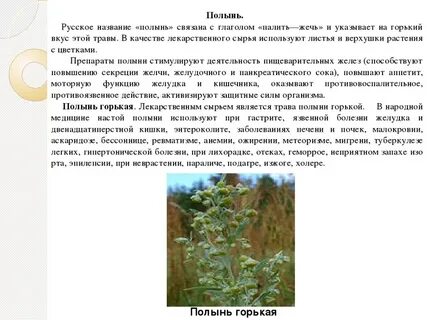 Полынь класс