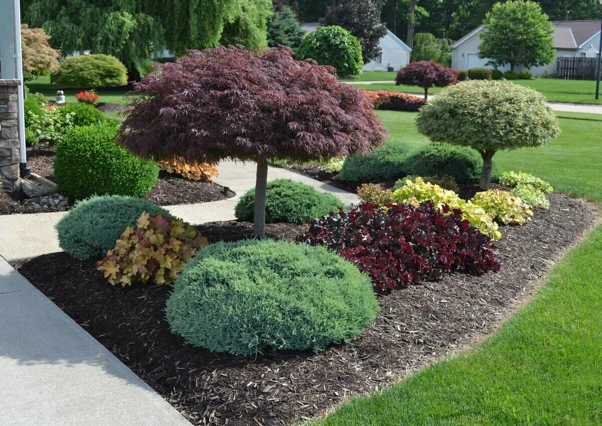 Миксбордеры: что, где и как? Сообщество "Сад и огород" Для мам Conifers garden, 