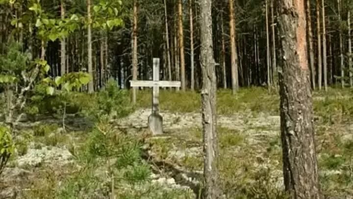 Глухой неведомой тайгою. Глухой неведомой Тропою. Глухая Тайга православная.