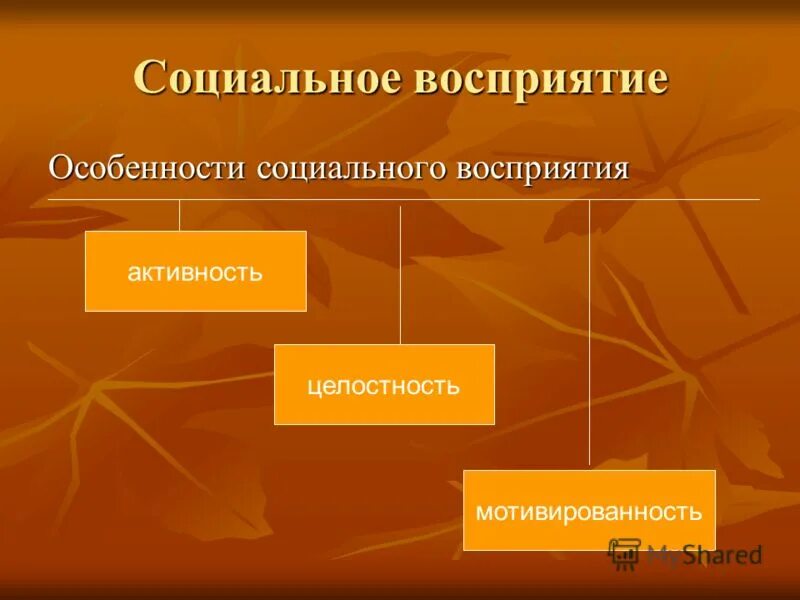 социальное восприятие тест. характеристика социального восприятия. социальная перцепция это в психологии. социальное восприятие. специфика социальной перцепции.
