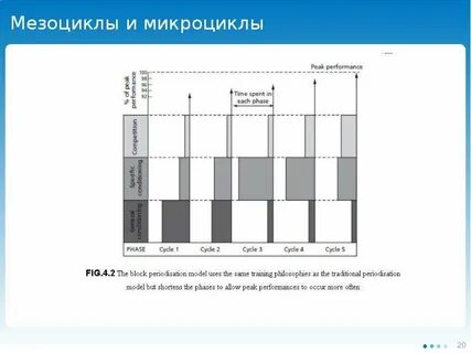 Тренировочные мезоциклы
