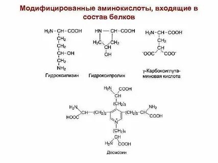 Радикалы аминокислотных остатков в молекуле белка