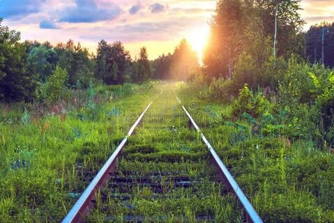 Трава железная дорога