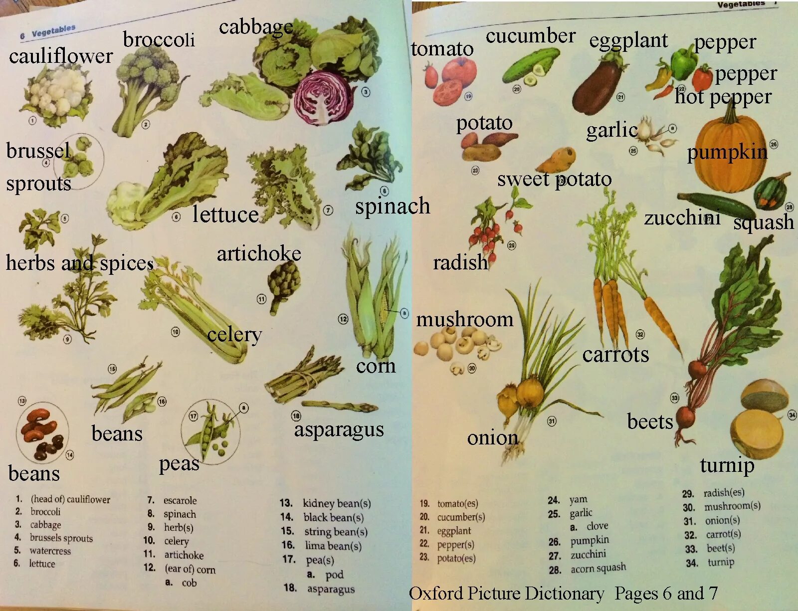 English овощи. Овощи на английском. Овощи названия. Овощи лексика на английском.