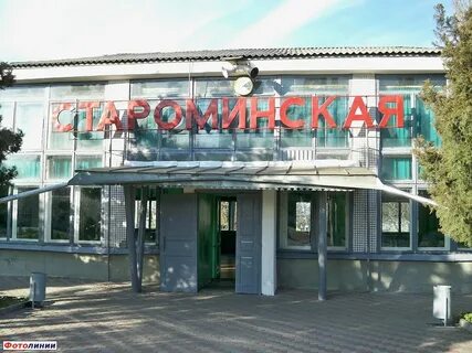 Жд билеты москва староминская тимашевская