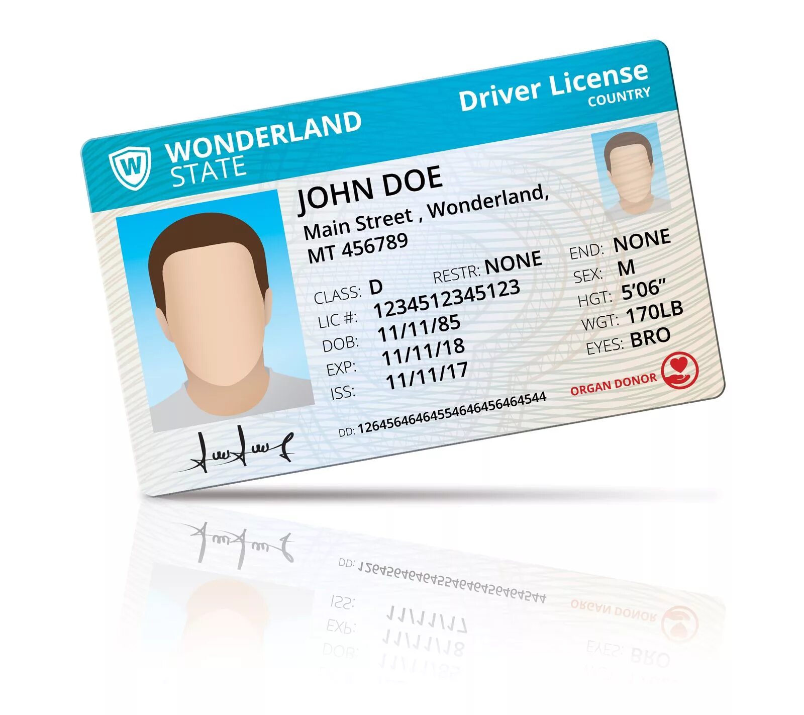 Что такое driver card. Driver license. driver card. ny driver license.