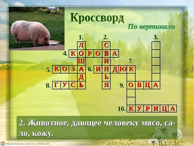 Кроссворд кожа и ее функции. Кроссворд кожа. животные весной кроссворд. кроссворд по коже. кроссворд про животных весной.
