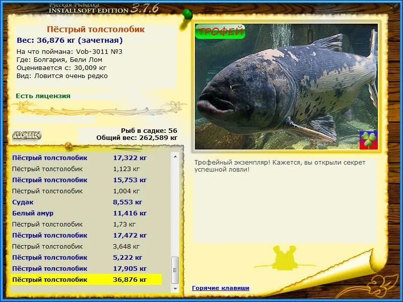 толстолобик пестрый реальная рыбалка. русская рыбалка толстолобик. на что ловить красноперку в реальной рыбалке на лесном озере. толстолобик пестрый реальная. ловить толстолобик реальная рыбалка.