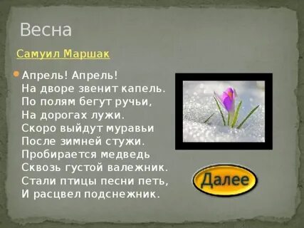 Скоро выйдут муравьи после зимней стужи