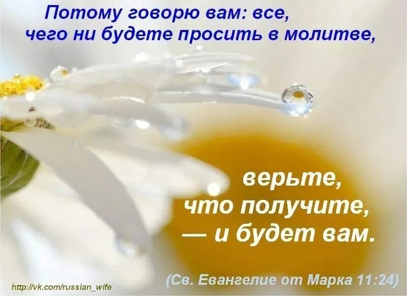 Что пожелать богу. Христианские открытки про исцеление. Пожелания доброго утра и Божьего благословения. Христианские стихи. Доброе утро с Богом.