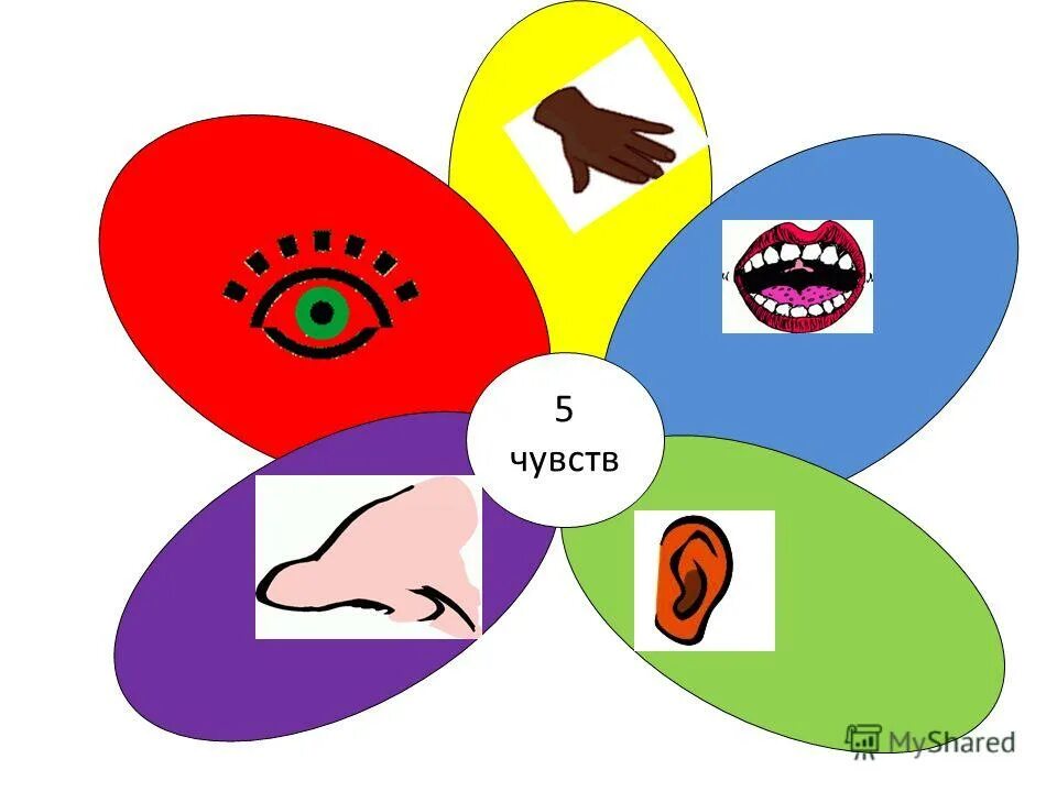 Пять основных чувств. Пять чувств человека. Изображение пяти чувств. Знаки пяти чувств.