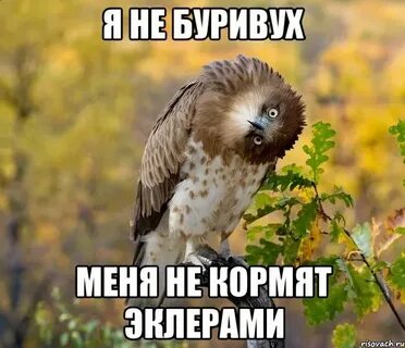 Не знаю скажи ты что нибудь