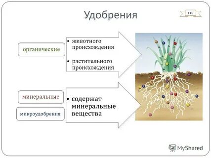 Минеральные вещества растительного происхождения