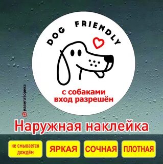 Разрешено с собакой