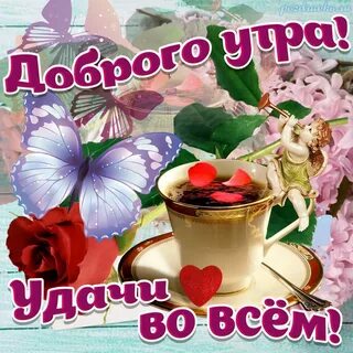 i?id=f0d33cbd859eeaf3afe461098532cf527a0cefea-4033784-images-thumbs&n=13
