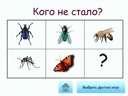 Какое насекомое здесь лишнее