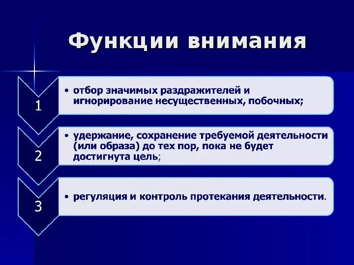 Развитие функции внимания. Функции внимания. Внимание в психологии презентация. Внимание функции внимания. Функции внимания в психологии.