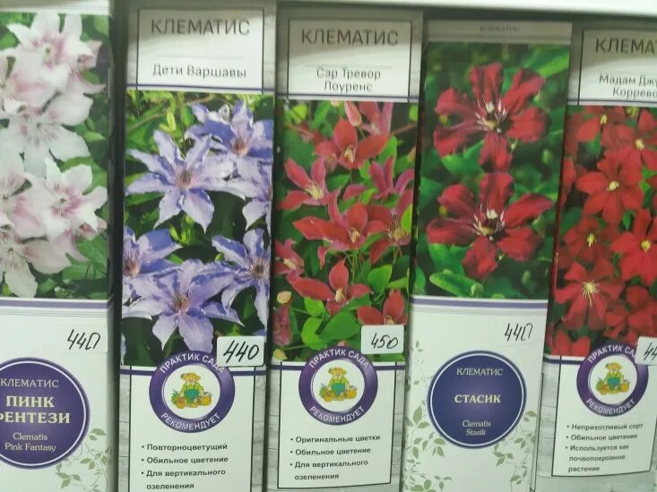 Империя садовода интернет магазин. Мой садовод. Мой садовод интернет магазин отзывы покупателей. Садовод интернет-магазин. Весна осень интернет магазин для садоводов.