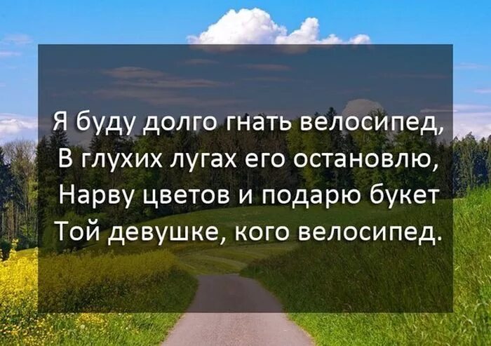 Нарву цветов слова
