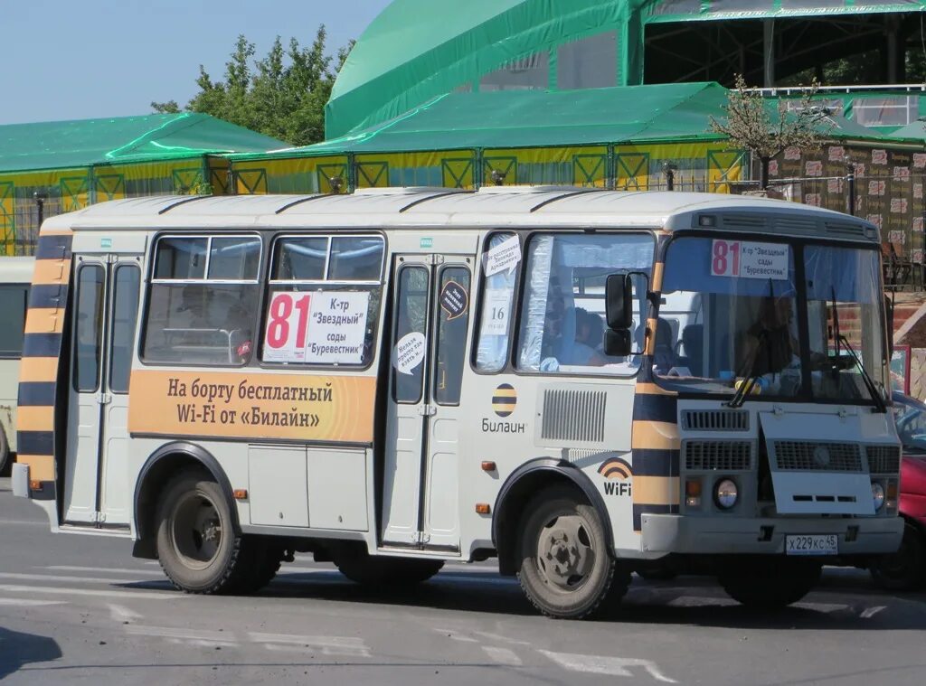 Автобус ПАЗ 32054 Курган. 81 Автобус. 81 Автобус Курган. Маршрутка 81. Сайт автобус курган