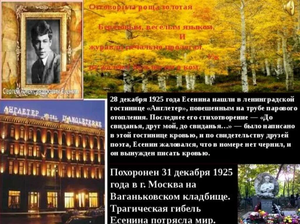 Есенин болен очень болен. 28 Декабря 1925 года Есенина нашли в Ленинградской гостинице Англетер. Страна берёзового ситца Есенин. Стихотворение Страна березового ситца. Англетер 1925.