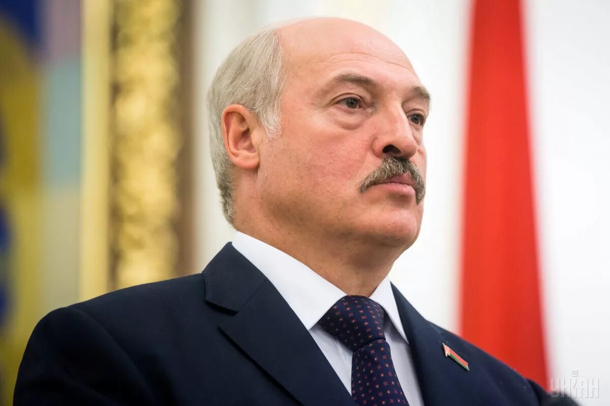 Где работает лукашенко. Александр лукашенко батька. лукашенко портрет. лукашенко император. александр григорьевич лукашенко портрет.