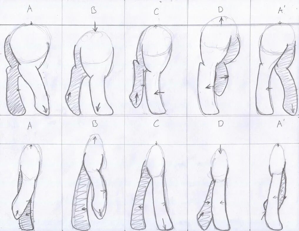 Анатомия пони. Анатомия пони для рисования. Копыта пони.