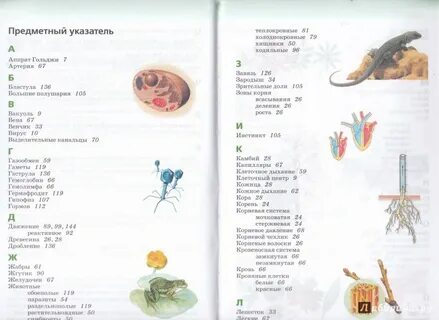 Биология 6 сонин учебник