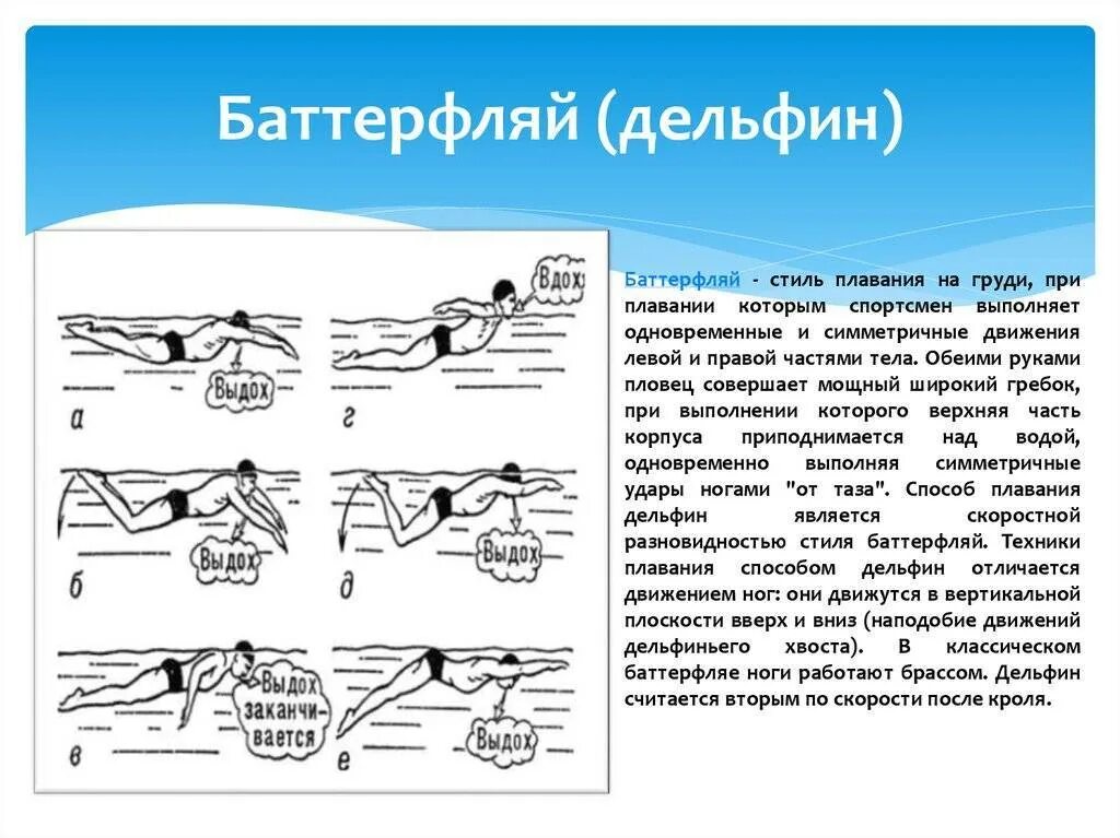 Техники брасс Кроль Баттерфляй. Кроль плавание стили плавания. Кроль брасс Баттерфляй техника. Плавание брасс Кроль на спине Кроль на груди и Баттерфляй. Плавание характеризуется