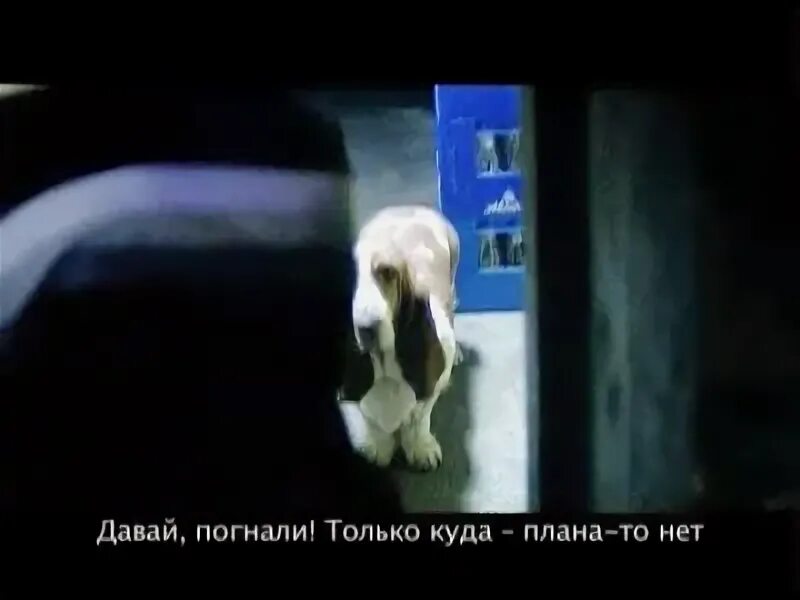 Давай погнали. Давай погнали