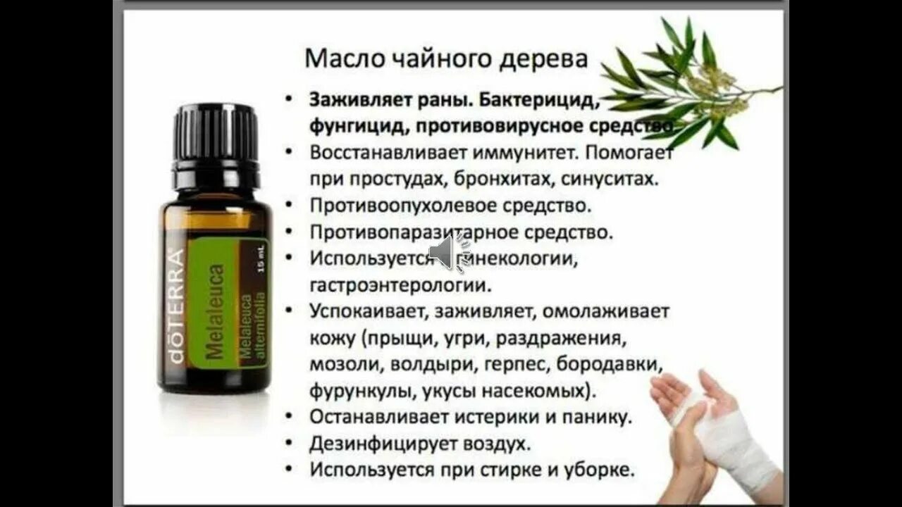 Масло чайного дерева ДОТЕРРА. Масло чайного жерево Жотера. DOTERRA эфирные масла чайное дерево. Чайное дерево 5 мл ДОТЕРРА. Метод лечения маслами