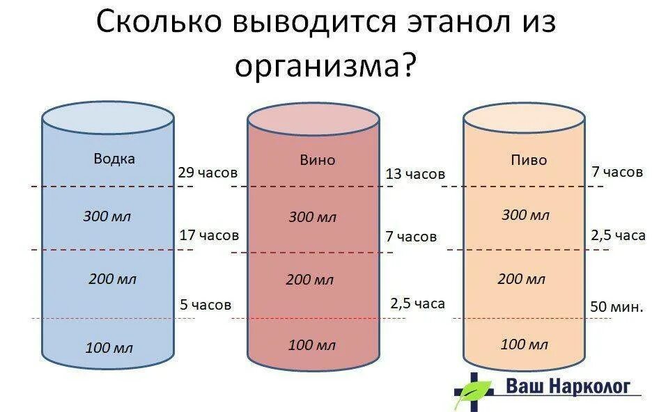 Сколько держится вино в организме. Период выведения вина из организма. Сколько этанол выводится из организма. Выведение этанола.