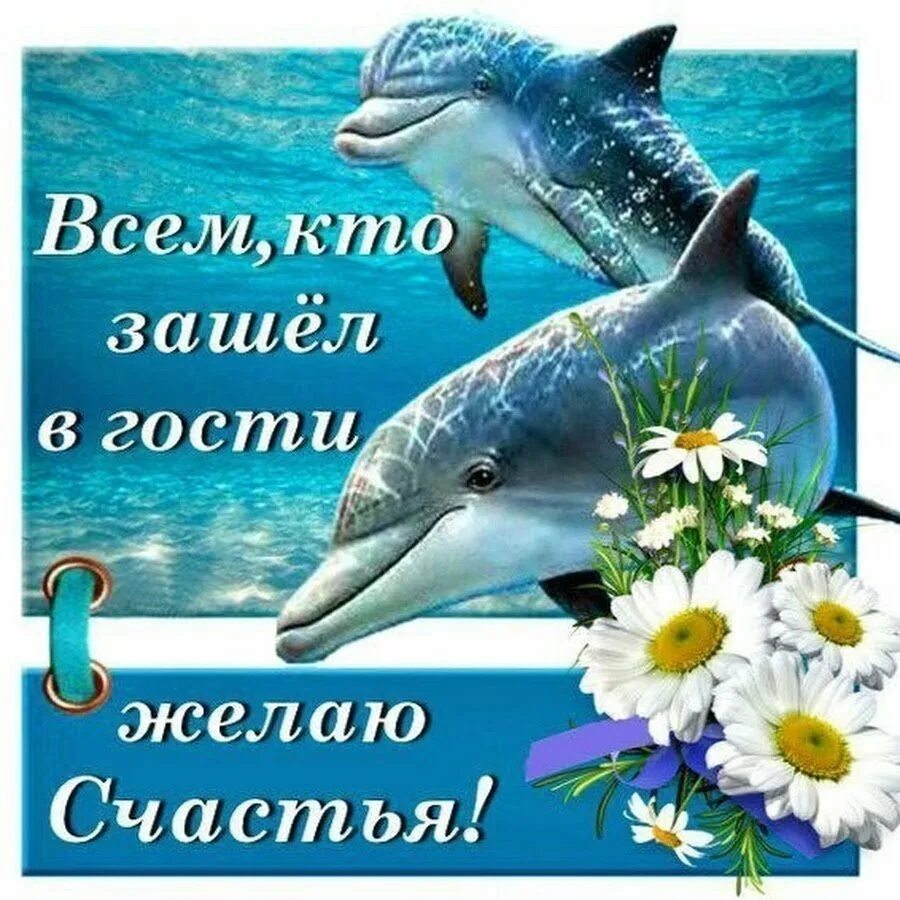 Новые счастья всем. Пожелания счастья и добра. Дельфины с пожеланиями доброго утра. Желаем счастья. Открытка "на счастье".