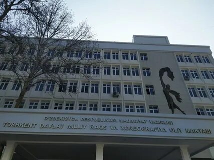 Школа государственный институт