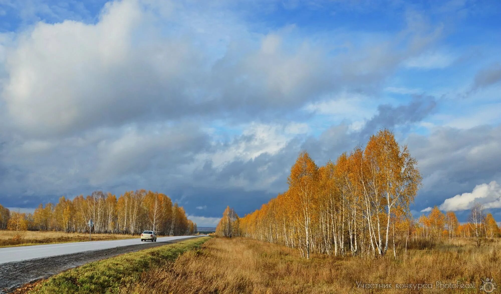 Уж ноябрь на дворе пушкин. Осенний уж. Картинки лес поздней осенью. Пушкин уж небо осенью дышало иллюстрация. Дохнул осени дорога промерзает.